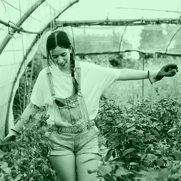 Mujer rural en un invernadero