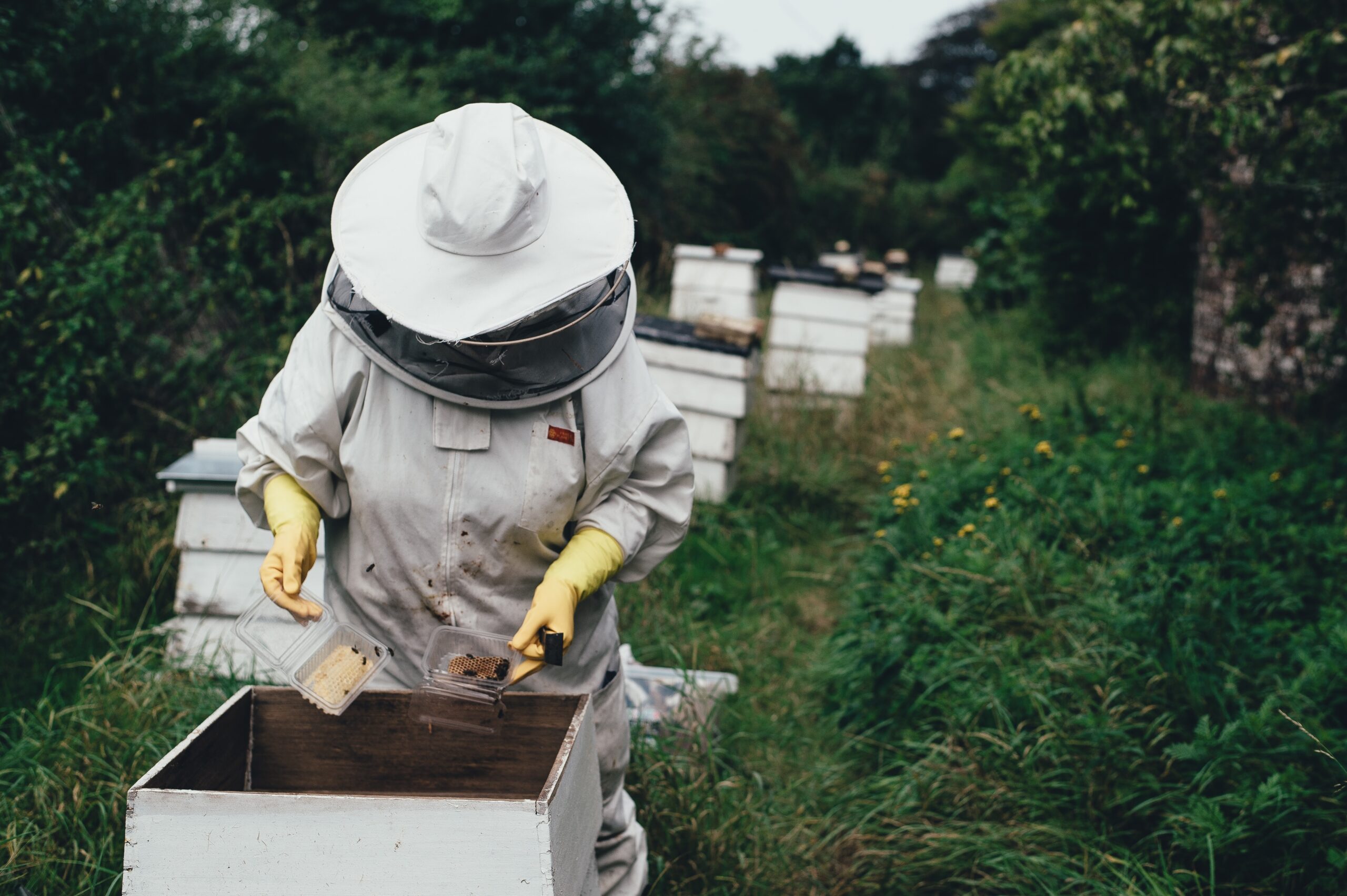 Visita a la granja de abejas de San Javier